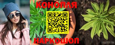 индика Ставрополь
